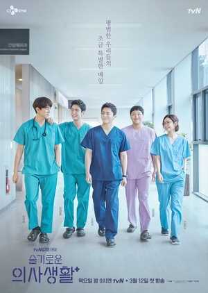 Drakor Hospital Playlist Subtitle Indonesia