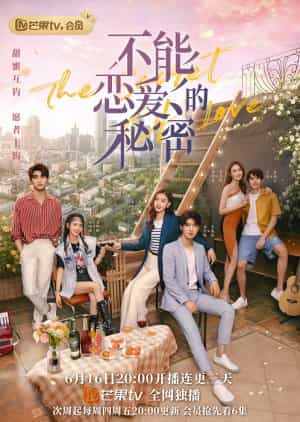 Download The Secret of Love Subtitle Indonesia